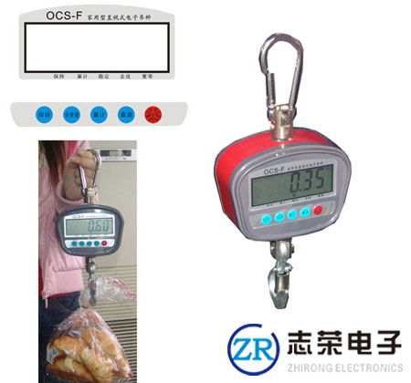 友聲電子吊秤_供應(yīng)上海友聲電子吊秤價(jià)格/技術(shù)參數(shù)